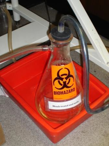 Choosing a Professional Biohazard Cleanup And Remediation Services